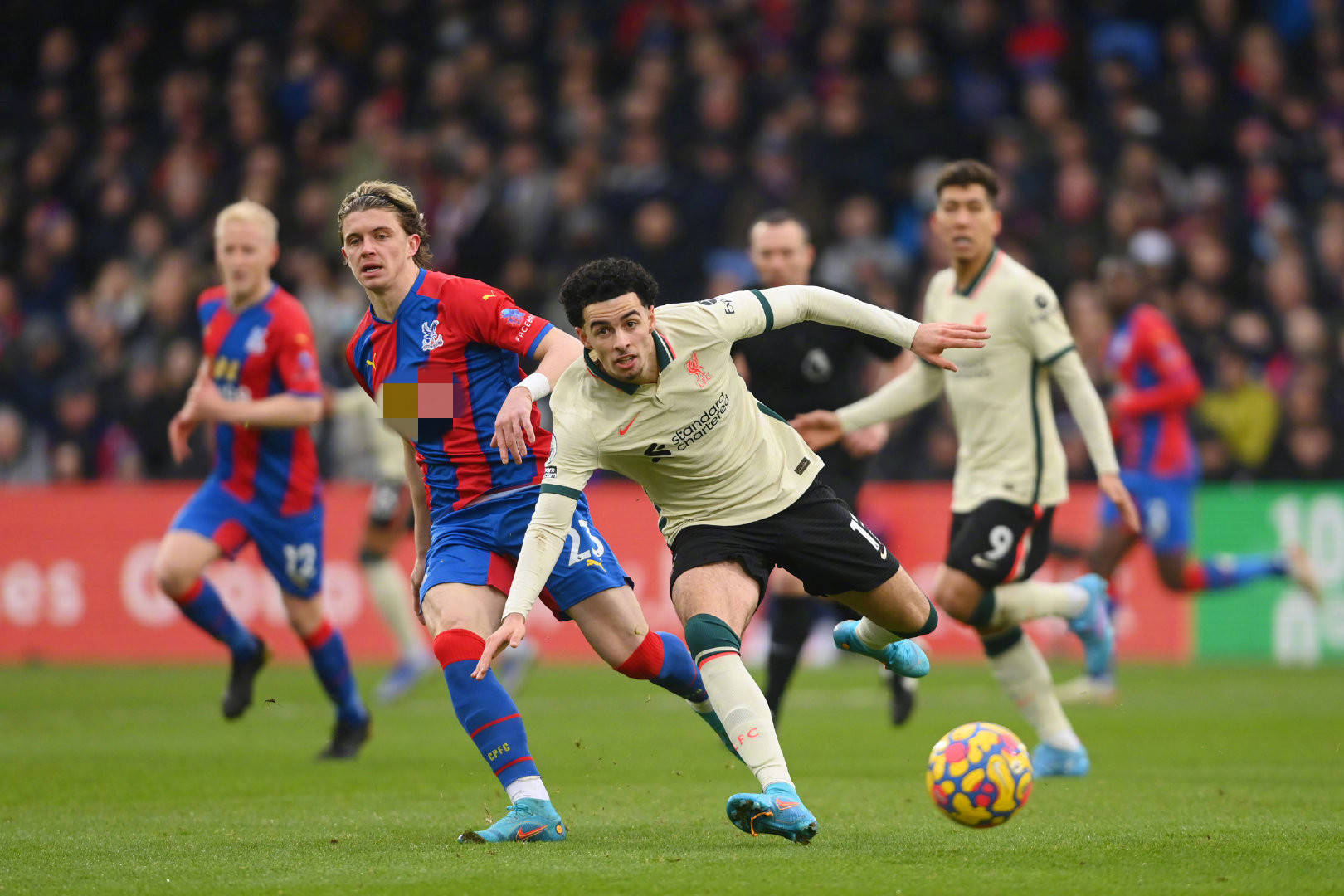 丝的喜爱 丝的喜爱